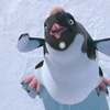 Happy feet avatars