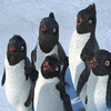 Happy feet avatars