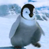 Happy feet avatars