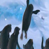 Happy feet avatars