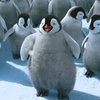 Happy feet avatars