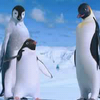 Happy feet avatars