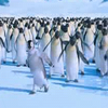 Happy feet avatars