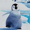 Happy feet avatars