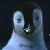 Happy feet avatars