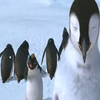 Happy feet avatars