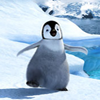 Happy feet avatars