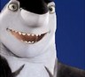 Shark tale avatars