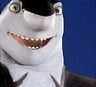 Shark tale