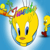 Tweety avatars