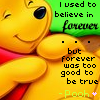 Winnie the pooh