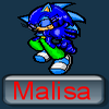 Sonic avatars