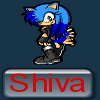 Sonic avatars