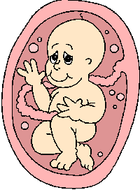 Pregnancy baby graphics
