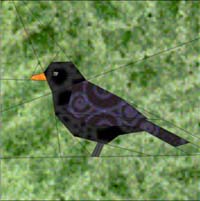 Blackbird bird graphics
