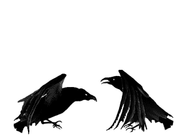 Bird Graphic Crow | PicGifs.com