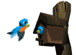 Finch bird graphics