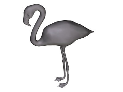 Flamingo bird graphics