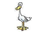 Geese bird graphics