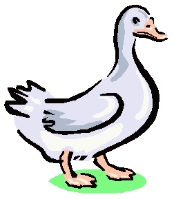 Geese bird graphics