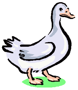 Geese bird graphics