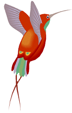 Hummingbird bird graphics