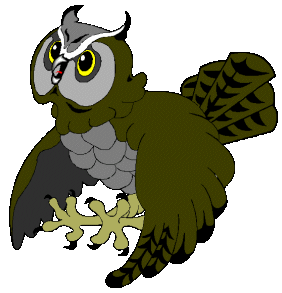 Owls bird graphics