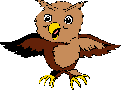 Owls bird graphics