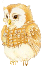 Owls bird graphics