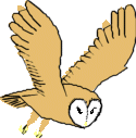 Owls bird graphics