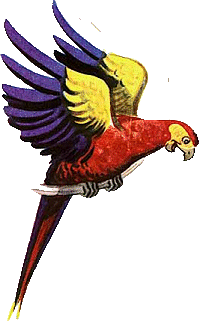 Parrot bird graphics