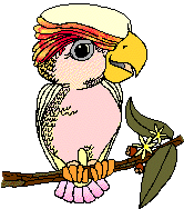 Parrot bird graphics