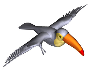 Pelican bird graphics