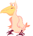 Pelican bird graphics