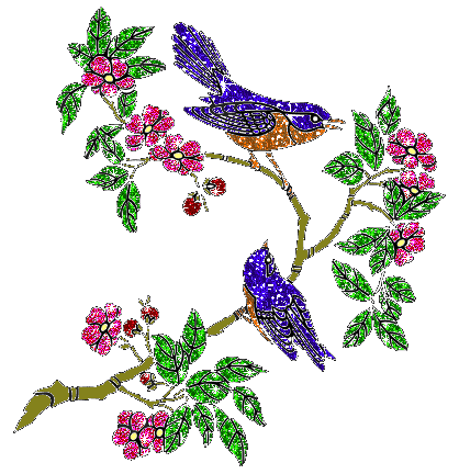 Siskin bird graphics