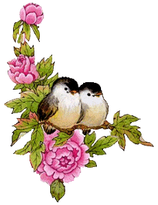 Sparrows bird graphics