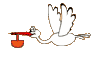 Stork bird graphics