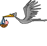 Stork bird graphics