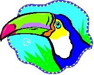 Toucan bird graphics