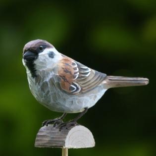 Tree sparrow bird graphics