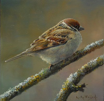 Tree sparrow bird graphics