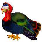 Turkey bird graphics