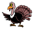 Turkey bird graphics