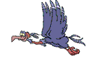 Vultures bird graphics