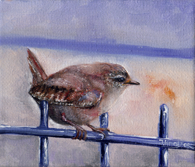 Winter wren bird graphics