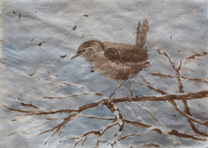 Winter wren bird graphics