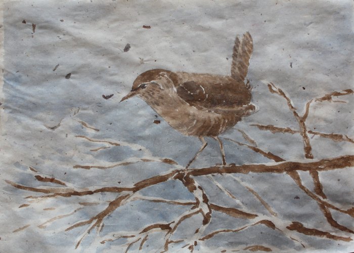 Winter wren