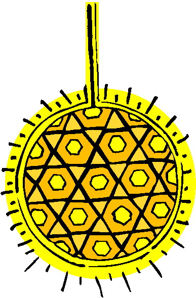 Dancing clip art