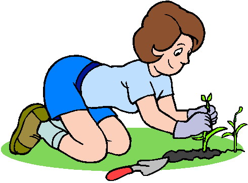 Gardening