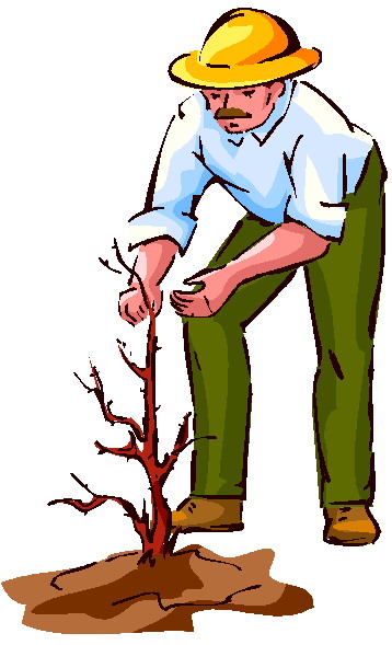 Gardening clip art